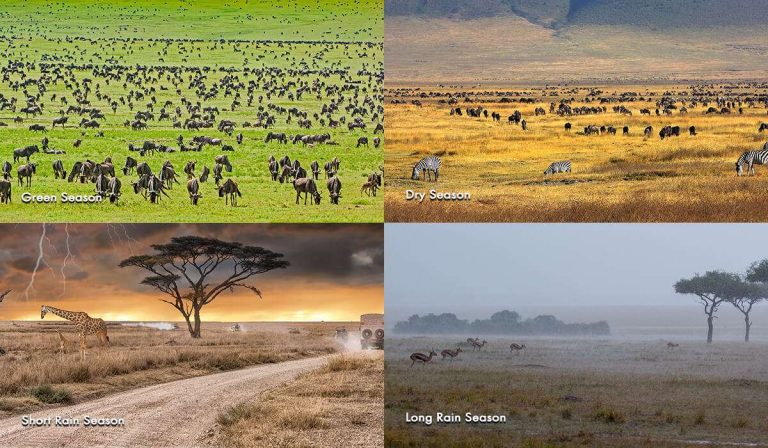 How-Many-Seasons-are-There